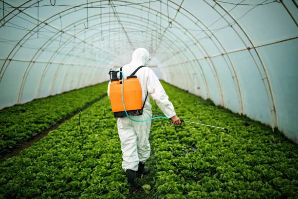 Best Pest Control for Businesses  in Waverly, MN