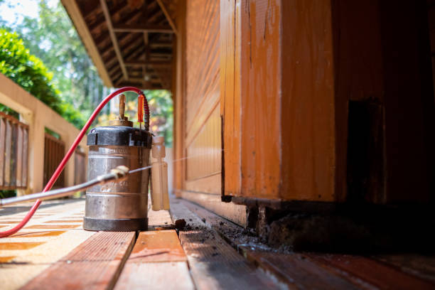 Best Termite Control Services  in Waverly, MN
